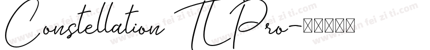 Constellation TL Pro字体转换